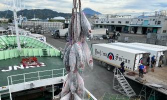 【 静岡県清水市視察 】マグロ🐟マグロ🐟マグロ🐟