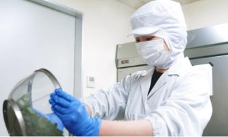 12月オンライン説明会日程をアップしました！