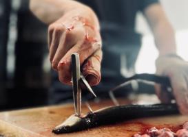 うなぎを裂く！