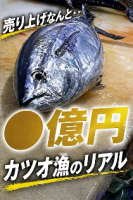 カツオ漁のリアル🐟⁈