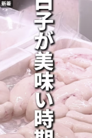 寒い時期に美味い??!🐡