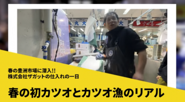 ザガットのリアル仕入れ～初カツオ編～