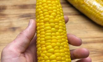 【夏の名物】2日かけて魅力を引き出す、とうもろこし天🌽