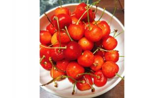 季節の物🍒