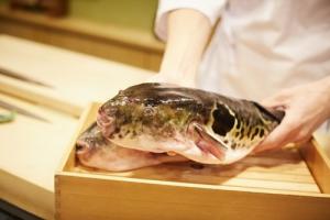 ふぐ免許取得に興味がある方へ🔪🐡