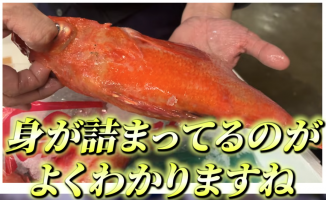 何度でも言います！！！