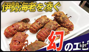 伊勢海老を凌ぐ幻のエビとは！？