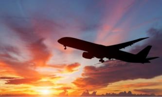 株式会社 コスモ企業 世界へ旅立つ人々に「最高の美味しい」をお届けしよう