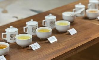 【台湾研修】本場「遊山茶訪」の烏龍茶でおもてなしの物語を🍵