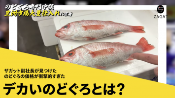 リアル仕入れに密着！part2