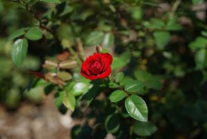 継続は力、知識は財産〜尊敬する大好きな人〜