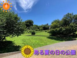 ある夏の日の公園🌳