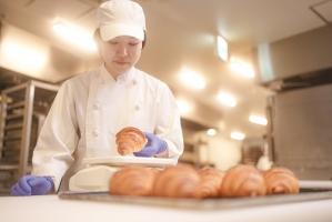 ＜ベイクルーズ＞8月の会社説明会、予約受付開始です！