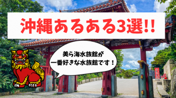 【沖縄あるある】温故知新の人事が真面目に考察してみました！