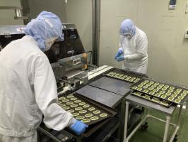 湘南工場見学会