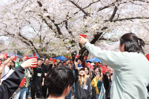 ファイブ🌸新歓お花見BBQ！