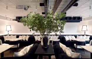 MERCER OFFICE株式会社 カフェのおもしろさをデザインする