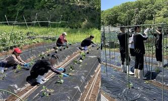新入社員「農作業体験研修」2回目開催  (^^)/