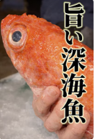 旨すぎる深海魚?!🐟
