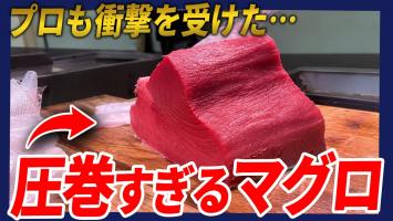 旬を見極める仕入れ🎣✨