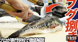 フグの捌き方を徹底解説します！