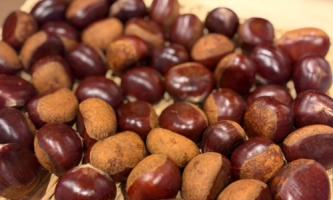 【秋の味覚】栗の王様・利平栗の天ぷら🌰