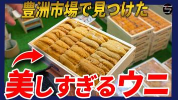 夏のウニは美味しいのか