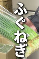 食は食べて試してみることが大切