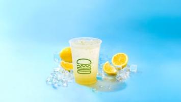 新作！初夏メニューのご紹介🍋
