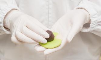 あんこや和菓子好き必見！会社説明会が10月に開催されます◎