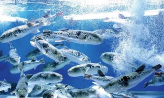 最短距離でプロフェッショナルへの道を進めます