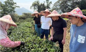【台湾研修】お茶摘みから体験!五感で学ぶ本物のこだわり🍵