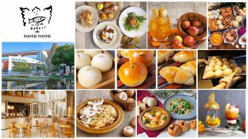 TOOTH TOOTH FISH IN THE FOREST