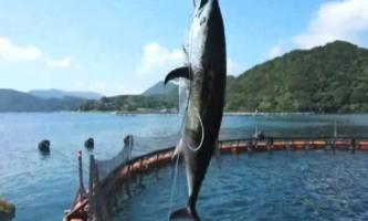 ーグループ内で『水産6次産業化』を実現させていますー