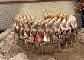 名物！のどぐろの原始焼き！