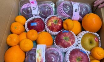 【温かい贈り物】果物から活力をもらう毎日🍊