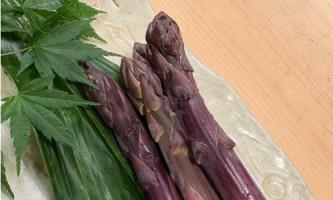 【一からの食材育て】4年前に植えた紫アスパラをお客様へ🌱