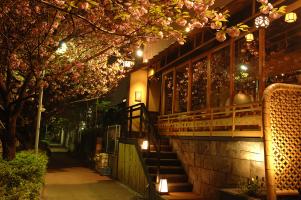 「焼鶏あきら 中目黒本店」を紹介します