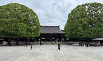 【朝のルーティン】明治神宮への参拝で心を整える大切な時間✨