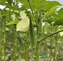 久しぶりの感覚