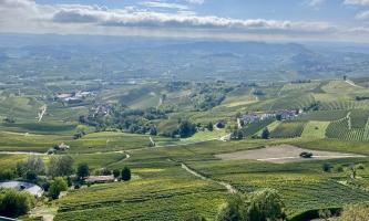 イタリアへワイナリー研修🍇