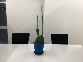 成長するのは人だけじゃない！！