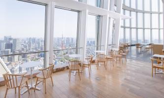 「THE SUNの紹介です！」