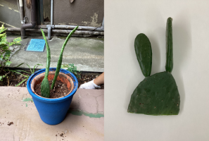 みなさん体調はいかがですか？