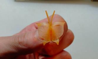 【職人の手仕事】人参が蝶に変わる瞬間。繊細な技術の裏側🦋
