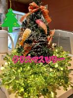 🎄クリスマスツリー🍣