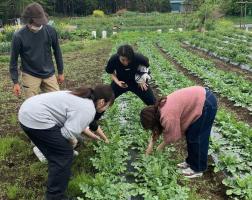 〈学べる研修制度〉生産者視察