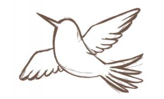 会社を知る！\ 体験型オープンカンパニー開催中🎉/