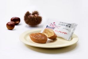 こんにちは！ありあけです！