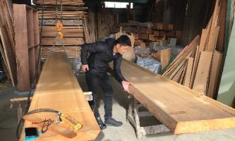 【奇跡の一枚板】くすのきを護る檜カウンター🌲